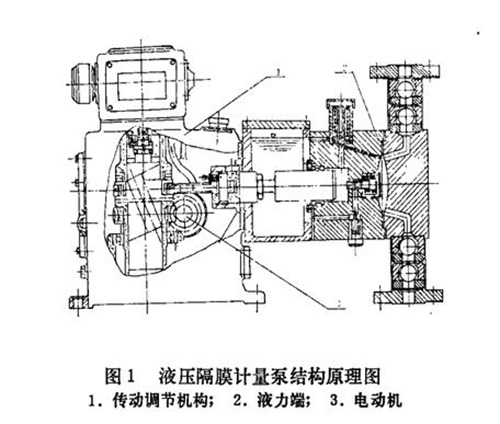 計量泵結構